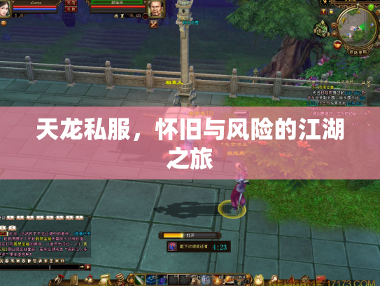 天龙私服，怀旧与风险的江湖之旅