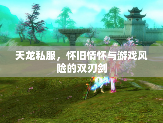 天龙私服，怀旧情怀与游戏风险的双刃剑