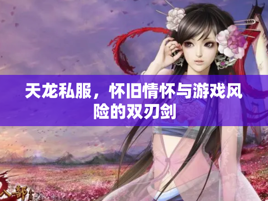 天龙私服，怀旧情怀与游戏风险的双刃剑