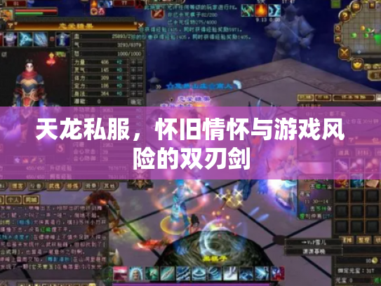 天龙私服，怀旧情怀与游戏风险的双刃剑