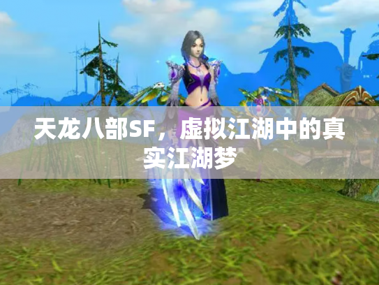 天龙八部SF，虚拟江湖中的真实江湖梦