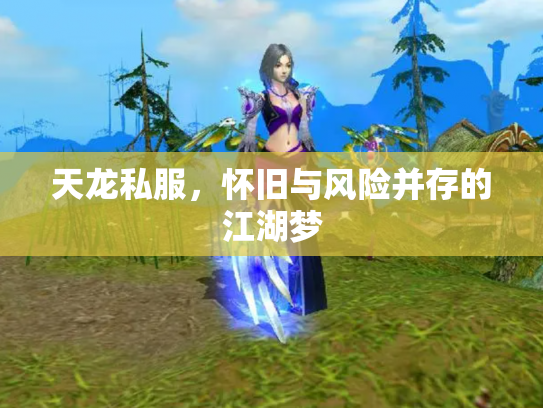 天龙私服，怀旧与风险并存的江湖梦