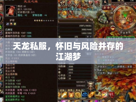 天龙私服，怀旧与风险并存的江湖梦