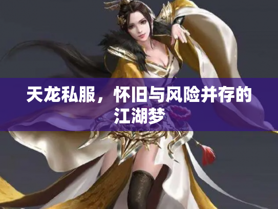 天龙私服，怀旧与风险并存的江湖梦