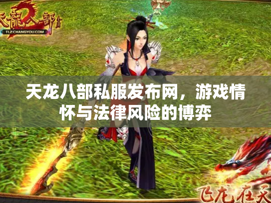 天龙八部私服发布网，游戏情怀与法律风险的博弈