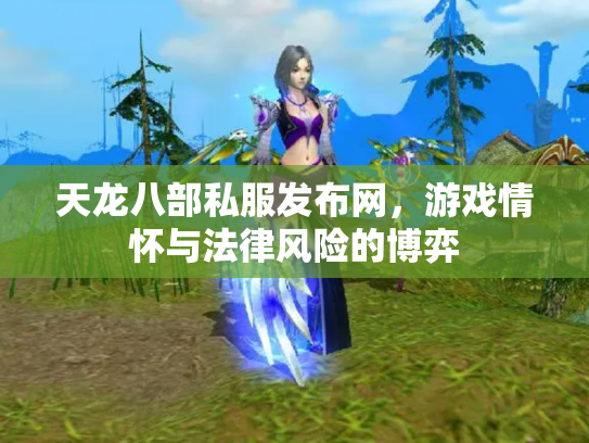 天龙八部私服发布网，游戏情怀与法律风险的博弈