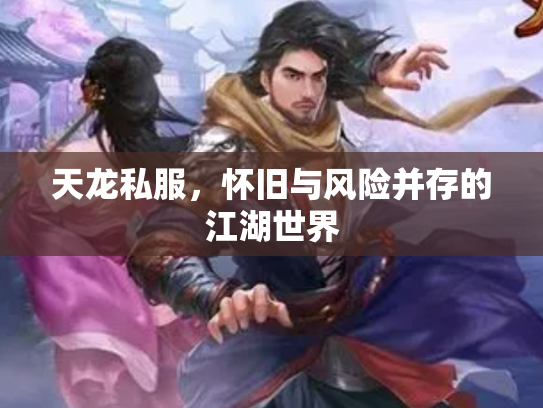 天龙私服，怀旧与风险并存的江湖世界