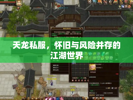 天龙私服，怀旧与风险并存的江湖世界