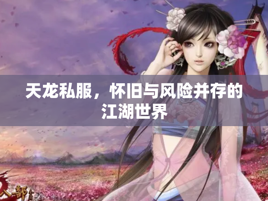 天龙私服，怀旧与风险并存的江湖世界