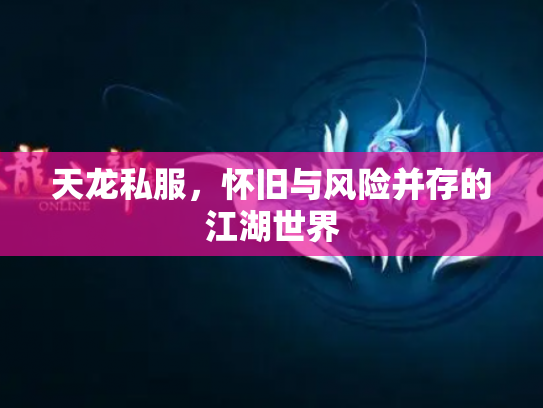 天龙私服，怀旧与风险并存的江湖世界
