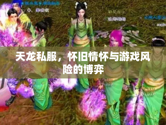 天龙私服，怀旧情怀与游戏风险的博弈