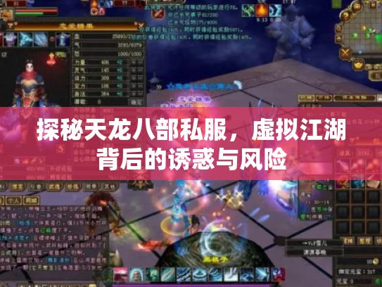 探秘天龙八部私服，虚拟江湖背后的诱惑与风险