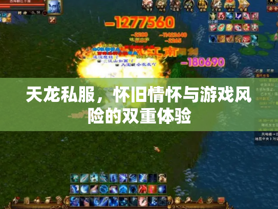 天龙私服，怀旧情怀与游戏风险的双重体验