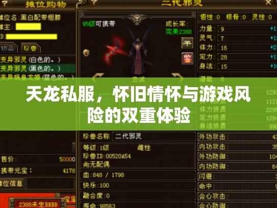 天龙私服，怀旧情怀与游戏风险的双重体验
