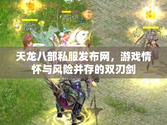 天龙八部私服发布网，游戏情怀与风险并存的双刃剑