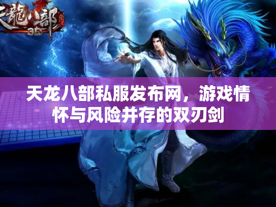 天龙八部私服发布网，游戏情怀与风险并存的双刃剑