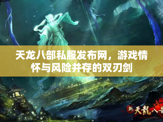 天龙八部私服发布网，游戏情怀与风险并存的双刃剑