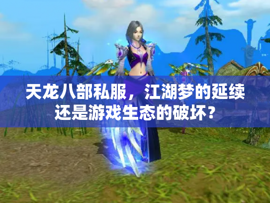 天龙八部私服，江湖梦的延续还是游戏生态的破坏？