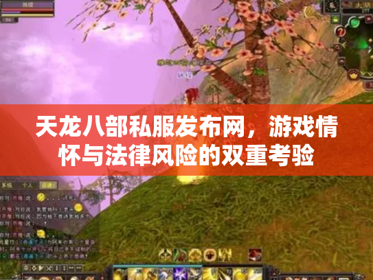 天龙八部私服发布网，游戏情怀与法律风险的双重考验