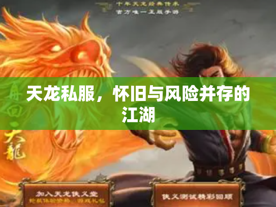 天龙私服，怀旧与风险并存的江湖