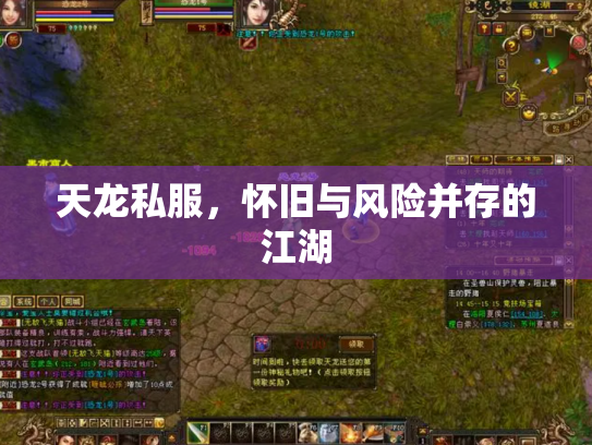 天龙私服，怀旧与风险并存的江湖