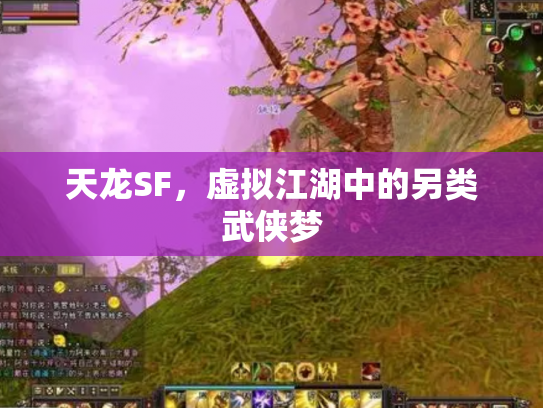 天龙SF，虚拟江湖中的另类武侠梦