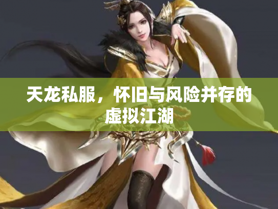 天龙私服，怀旧与风险并存的虚拟江湖