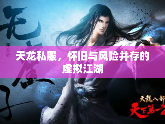 天龙私服，怀旧与风险并存的虚拟江湖