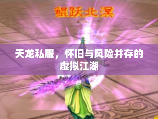 天龙私服，怀旧与风险并存的虚拟江湖