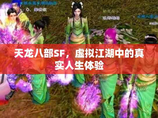 天龙八部SF，虚拟江湖中的真实人生体验