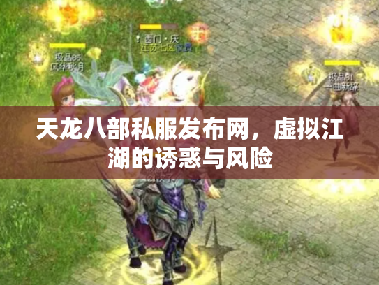 天龙八部私服发布网，虚拟江湖的诱惑与风险