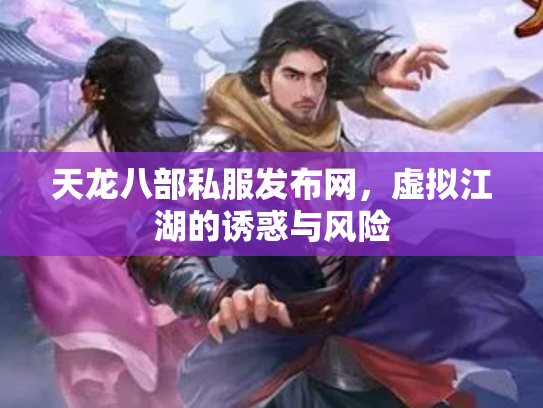 天龙八部私服发布网，虚拟江湖的诱惑与风险