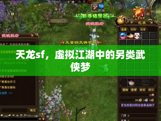 天龙sf，虚拟江湖中的另类武侠梦