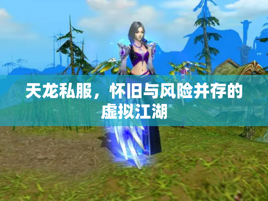 天龙私服，怀旧与风险并存的虚拟江湖