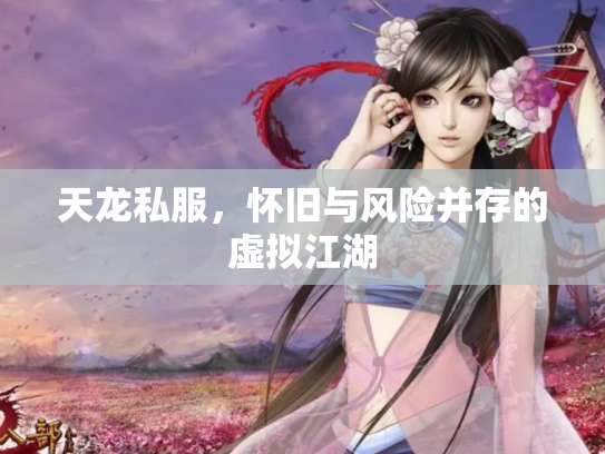 天龙私服，怀旧与风险并存的虚拟江湖