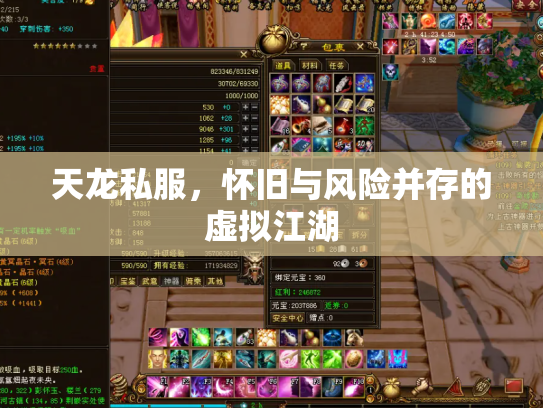 天龙私服，怀旧与风险并存的虚拟江湖