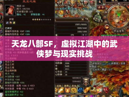 天龙八部SF，虚拟江湖中的武侠梦与现实挑战