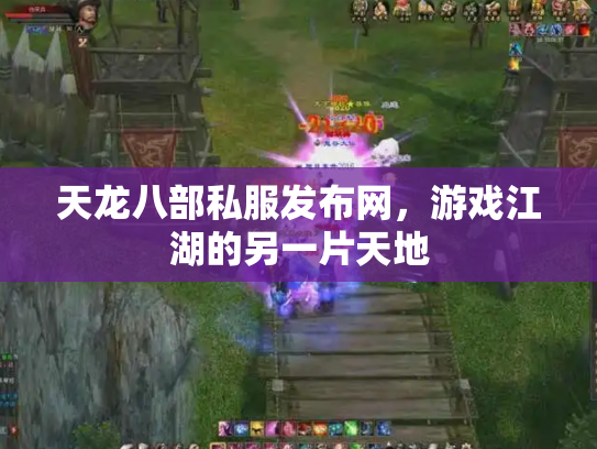 天龙八部私服发布网，游戏江湖的另一片天地
