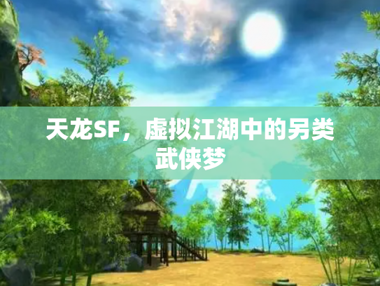 天龙SF，虚拟江湖中的另类武侠梦