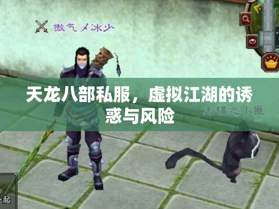 天龙八部私服，虚拟江湖的诱惑与风险