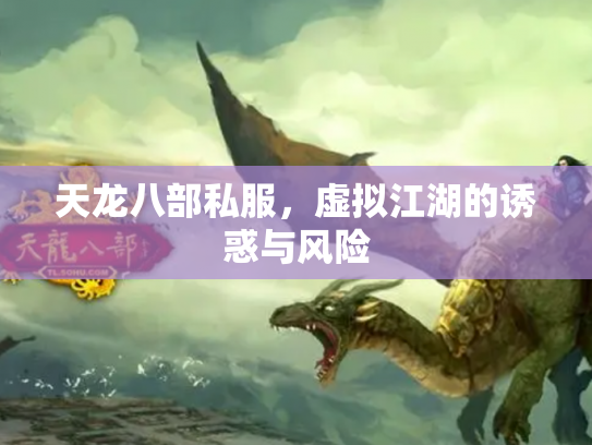 天龙八部私服，虚拟江湖的诱惑与风险