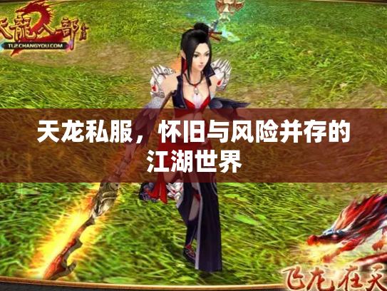 天龙私服，怀旧与风险并存的江湖世界