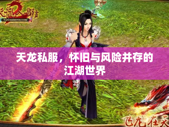 天龙私服，怀旧与风险并存的江湖世界