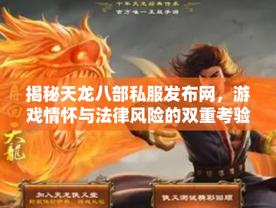 揭秘天龙八部私服发布网，游戏情怀与法律风险的双重考验