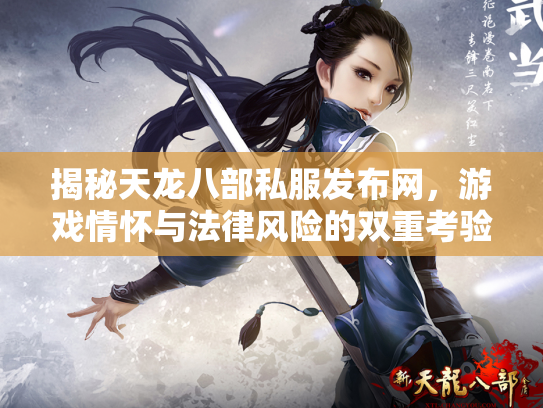 揭秘天龙八部私服发布网，游戏情怀与法律风险的双重考验