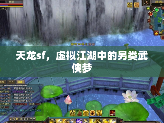 天龙sf，虚拟江湖中的另类武侠梦