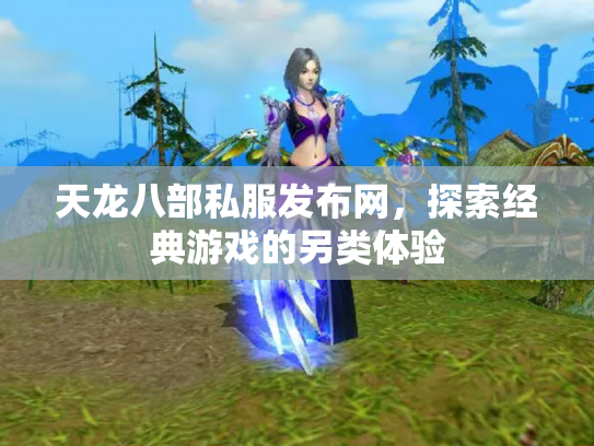 天龙八部私服发布网，探索经典游戏的另类体验