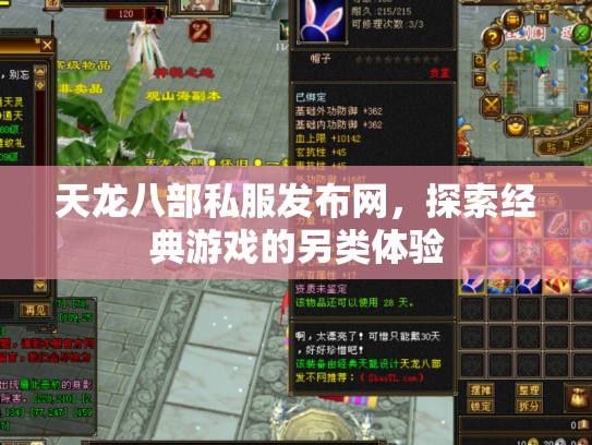 天龙八部私服发布网，探索经典游戏的另类体验