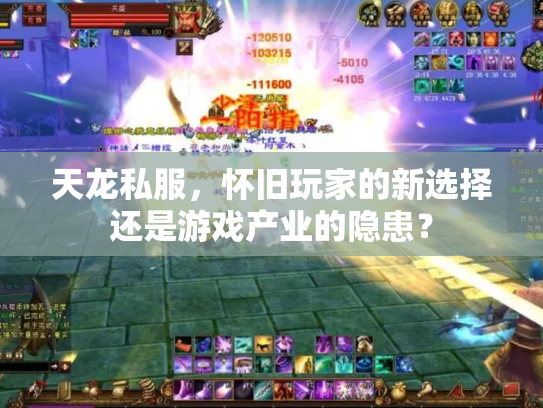 天龙私服，怀旧玩家的新选择还是游戏产业的隐患？