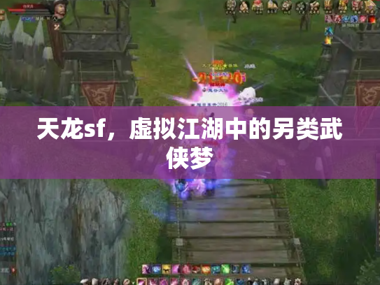 天龙sf，虚拟江湖中的另类武侠梦